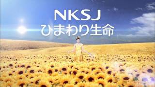 ベッキー　ＮＫＳＪ　ひまわり生命