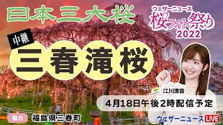 🌸桜フォト祭り2022🌸日本三大桜「三春滝桜」中継（2022年4月18日 14時00分〜30分配信予定）