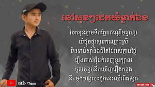 នៅសុខៗដេកយំម្នាក់ឯង-និត (Lyrics)