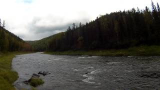 устье реки Каменка, правый приток реки Большой Пит