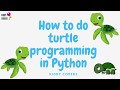 How to do turtle programming in Python