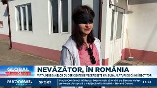 Brașov: Tabără pentru nevăzători, cu câini-ghizi, lângă Făgăraș