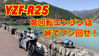 YZF-R25の高回転型エンジンは峠でブン回すのが最高！