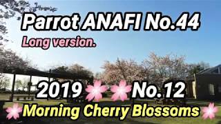 PARROT ANAFI No.44 🌸No.12🌸Cherry Blossoms🌸 2019 Japan