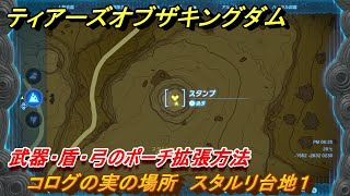 ティアキン　コログの実の場所　スタルリ台地１　武器・盾・弓のポーチ拡張方法　＃９３９　【ゼルダの伝説ティアーズオブザキングダム】