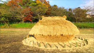 都心に一番近い里の風景　埼玉県見沼田んぼ　フナノ[　ドローン空撮]