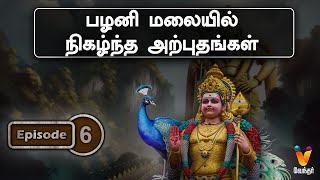 பழனி மலையில் நிகழ்ந்த அற்புதங்கள் | Pazhani | Lord Murugan | Velundu Vinaiillai | Vendhar TV