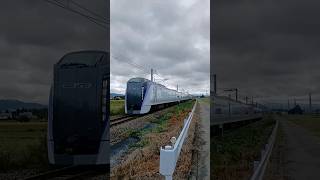 JR東日本の大糸線の特急あずさ5号南小谷行きが 警報音 と遮断がない踏切を通過する。ミュージホーン1回