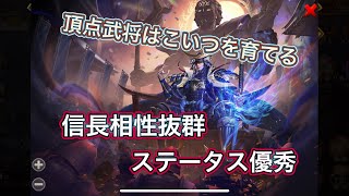 【戦国布武】頂点武将はこいつを育てる！