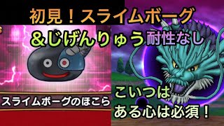 【ドラクエウォーク】まさかの1ターンキル スライムボーグ＆じげんりゅう1日1回耐性なし初見討伐【ドラゴンクエストウォーク】