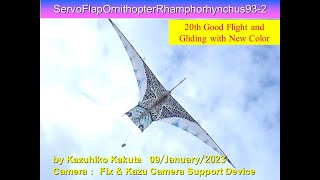 サーボ駆動翼竜型羽ばたき機 32g SFORhamphorhynchus93-2 20th Good Flight with New Color