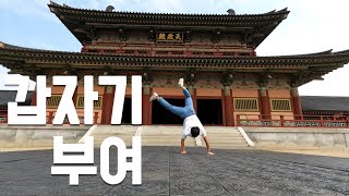 무계획여행의 끝 | ep.14 부여 | 밝혀지는 백제 멸망의 진실 | 빠른 전개 주의 | 오락가락 날씨\u0026정신 주의 (feat.사랑나무 눈물걸렸네)