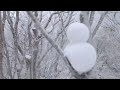 冷えたぁ、寒かったぁ。三峰山　〜　今年も、御杖村。樹氷まつり！