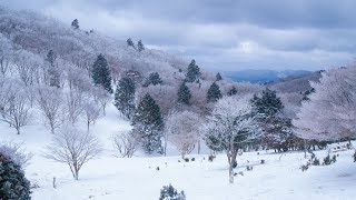 冷えたぁ、寒かったぁ。三峰山　〜　今年も、御杖村。樹氷まつり！