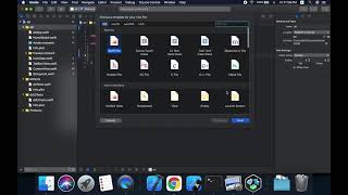 NSLocalizedString