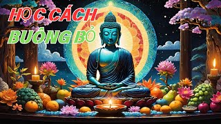 Học Cách Buông Bỏ Để Trở Về Với Chính Mình