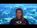 How To Grow Coral