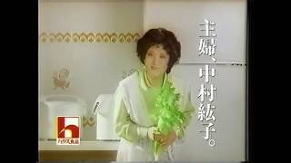 ハウス食品 ハスス・ザ・カリー 中村紘子さん 1993年