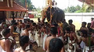 Kottipara Pooram 2021- Covid Pooram - Kothapuram Panchavadyam