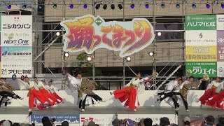 舞ぇぇ華　第１９回踊っこまつり 　本部審査演舞