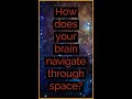 ❓ How does your brain navigate through space? ❓