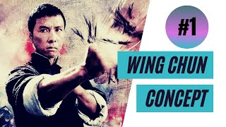 THE ONE WING CHUN CONCEPT YOU MUST KNOW to make be a better practitioner #shorts