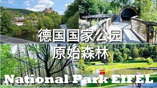 16. 【德国旅游|野餐】德国国家自然公园原始森林German Nationalpark Eifel | 世界自然遗产--古山毛榉林| 天然氧吧 纳粹军营 森林 草地 山崖 湖泊 露天浴场 船舶 小镇