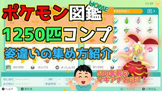 【姿違いの集め方】ポケモンホーム図鑑1250匹コンプリート！【紹介】