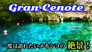 メキシコ🇲🇽一度は訪れたい美しすぎる地底湖【Gran Cenote】