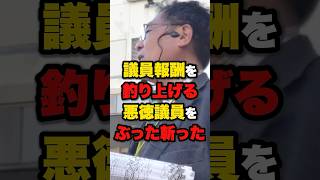 【もらいすぎ】議員報酬を釣り上げる悪徳政党をぶった斬った #雑学 #ニュース