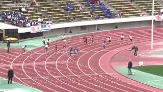 【2014兵庫リレーカーニバル】決勝　小学男子4×100ｍ