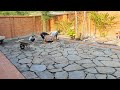 garden stone paving techniques.  natural stone