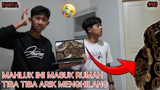 FAKTA part 90 | Mikael Family