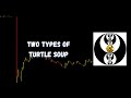 ICT Gems - Two types of Turtle Soup