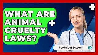 What Are Animal Cruelty Laws? - PetGuide360.com