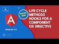 Angular V14 Complete Life Cycle Hooks Methods for the Component or Directive - Angular