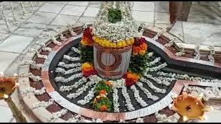 #MAhadev ke #Pujari स्वयंभू वैद्यनाथ ज्योतिर्लिंग प्रभू जी के दिव्य शृंगार दर्शन