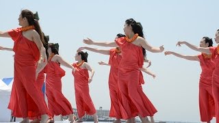 He Mele Aloha No Puna　Hula Halau 'O Ululani　vol.3　鎌倉ビーチフェスタ　由比ヶ浜海岸