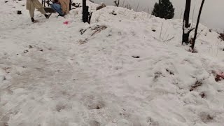 snow fall in buner kalil