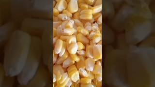 Easiest way to remove corn  kernels in 1 minute 🌽🌽🌽ll#super #shorts_video