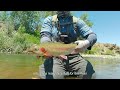 the art of the twitching jig for big river trout east carson river audio narration