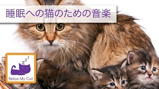 音乐新生小猫和猫怀孕了！