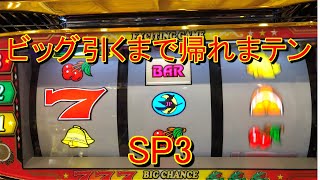 ビッグ出るまで帰れまテン　ニューパルサーＳＰ３　104