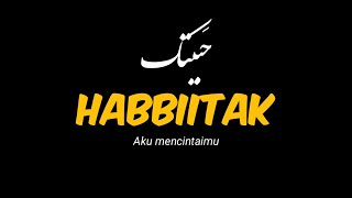 Haga Mestakhabeya (lirik & terjemah habbitak) Muhamed Hamaki sholawat viral tiktok populer, arabic
