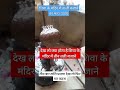 शिवा के मंदिर में तीन बार ताली बजाने से क्या होता है