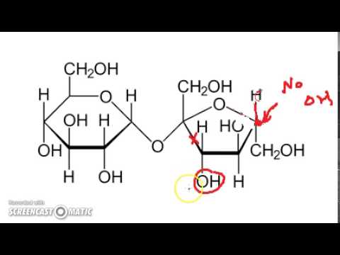Why is lactose a reducing sugar but sucrose is not?