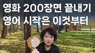 몰아보기 9. 영화 200장면 끝내기, 영어를 다시 시작한다면 이것부터 하겠어요. 5시간 몰아보기