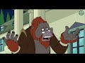 futurama evolutie versus creationisme