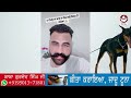 “ਪੁੱਤ ਮਰੇ ‘ਤੇ ਕੌਣ ਰਾਜਨੀਤੀ ਕਰਦਾ ਹੁੰਦਾ” korala maan talking about sidhu moosewala