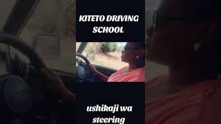 USHIKAJI WA STEERING